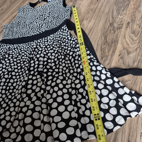 NorthStyle Dress Size 12P - Picture 13 of 16